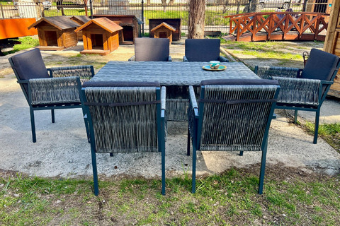 Wicker dining room furniture sets - Rattan furniture buy in Kyiv